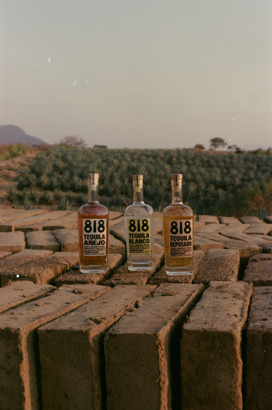【新手指南】如何選擇適合自己的 Tequila?