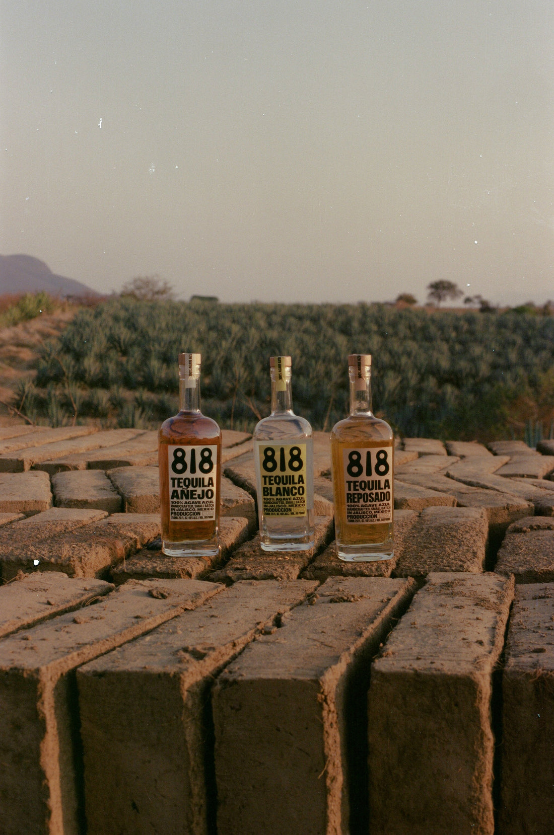 【新手指南】如何選擇適合自己的 Tequila？